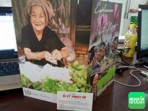 Brochure dạng cuốn quảng bá du lịch Việt Nam thiết kế và in ấn đẹp tại In Bao Bì
